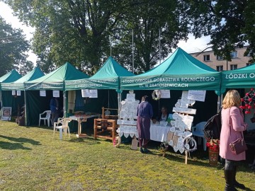 Wrześniowe Targi rolne w sercu Polski przyciągnęły tłumy zainteresowanych, 